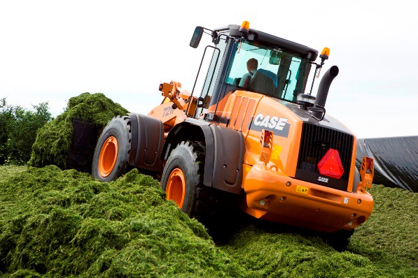 Forage for conservation
